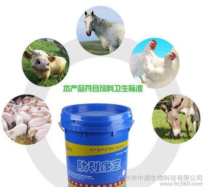广东益生菌制剂在奶牛养殖中的应用优势与前景展望