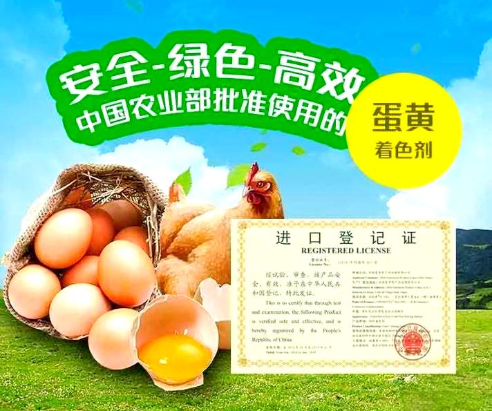 加丽素红:提升鸡蛋颜色与市场竞争力的功能性饲料添加剂